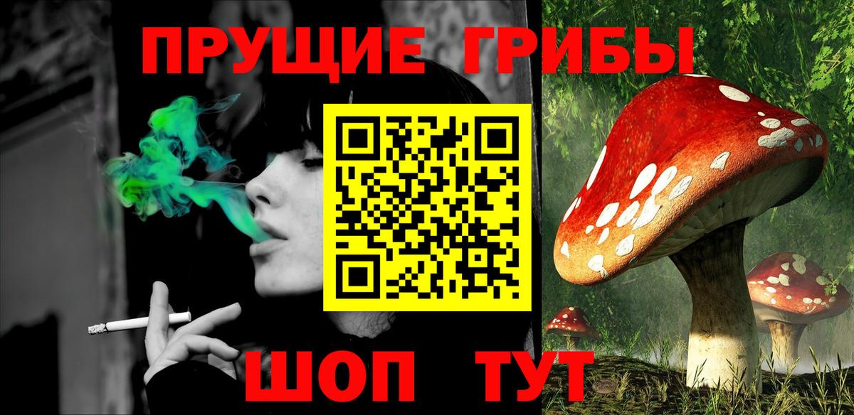 Псилоцибиновые грибы Cubensis Чернушка