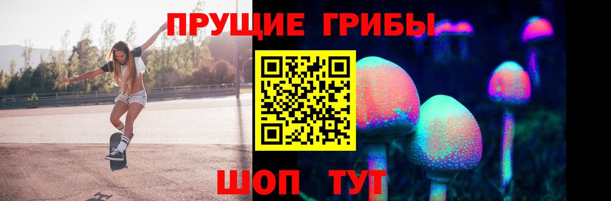 Псилоцибиновые грибы Magic Shrooms  Вход с VPN  Псилоцибиновые грибы ЛСД  цена наркотик  Чернушка 