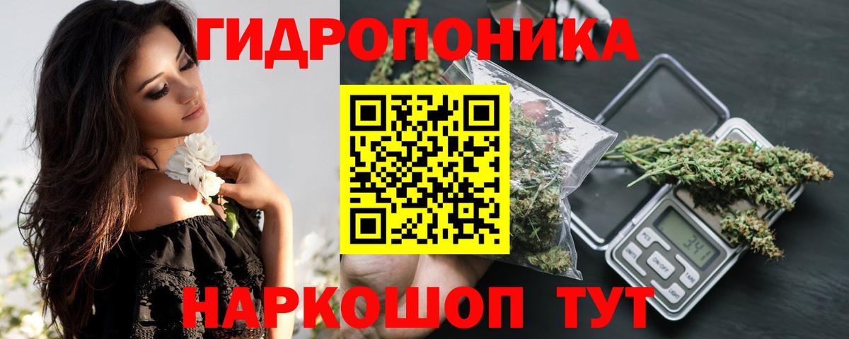 Шишки марихуана конопля  Бошки Шишки сатива  Чернушка  Вход с VPN  Бошки Шишки сатива  Шишки марихуана гибрид 